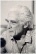 �lvaro Cunhal